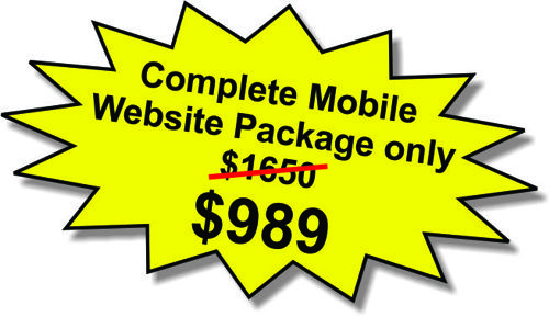 $989 Website Special