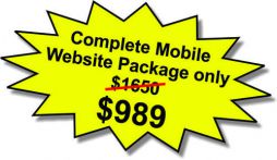 $989 Website Special